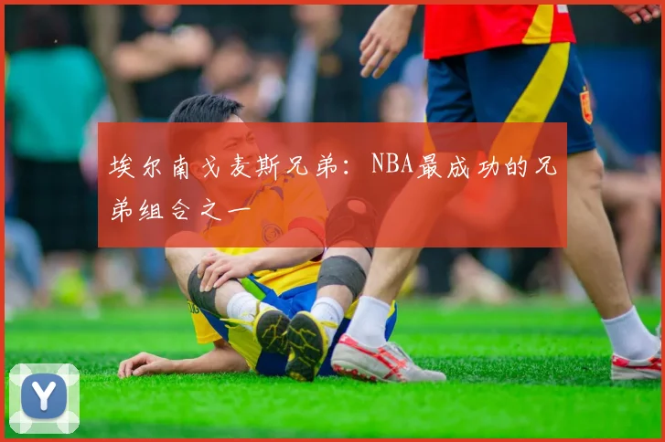 埃尔南戈麦斯兄弟：NBA最成功的兄弟组合之一