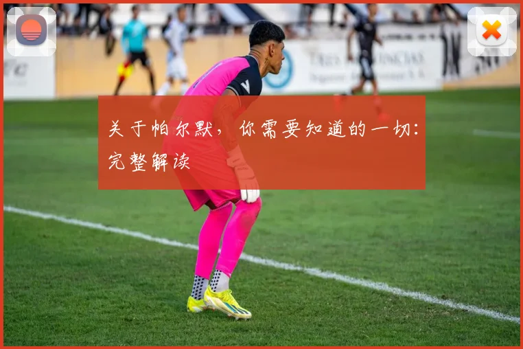 关于帕尔默，你需要知道的一切：完整解读