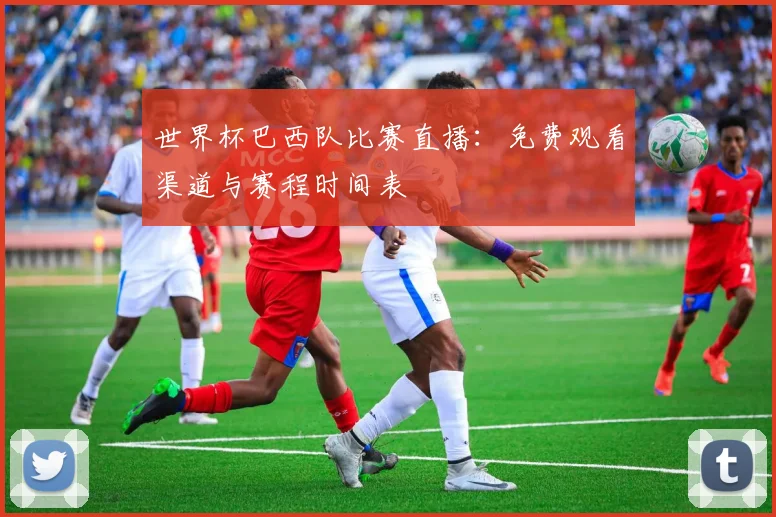 世界杯巴西队比赛直播:免费观看渠道与赛程时间表
