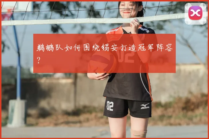 鹈鹕队如何围绕锡安打造冠军阵容？