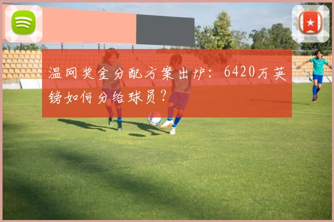 温网奖金分配方案出炉：6420万英镑如何分给球员？