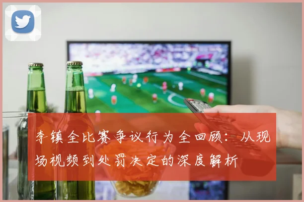 李镇全比赛争议行为全回顾:从现场视频到处罚决定的深度解析