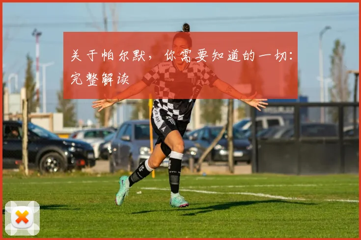 关于帕尔默，你需要知道的一切：完整解读