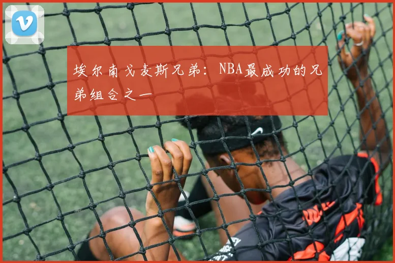 埃尔南戈麦斯兄弟：NBA最成功的兄弟组合之一