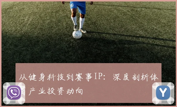从健身科技到赛事IP:深度剖析体育产业投资动向